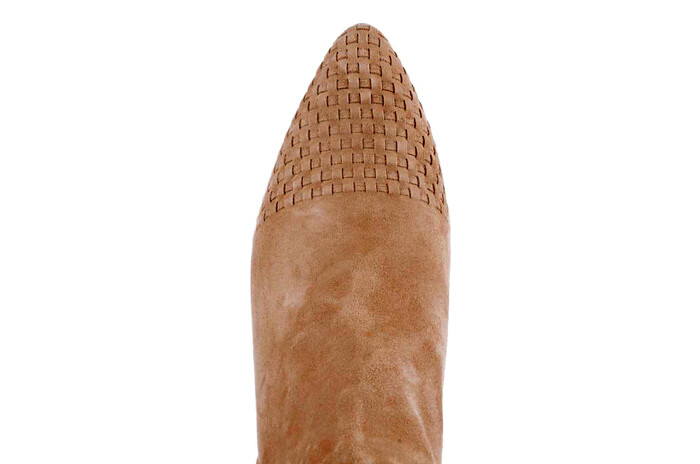 11902 Lilian camel image