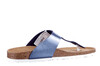 6108-703 Cosmos blauw thumbnail