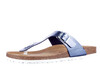 6108-703 Cosmos blauw thumbnail