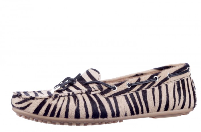 01-13 Babouche camel zebra image