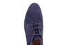 Bovinia Sioux blauw thumbnail