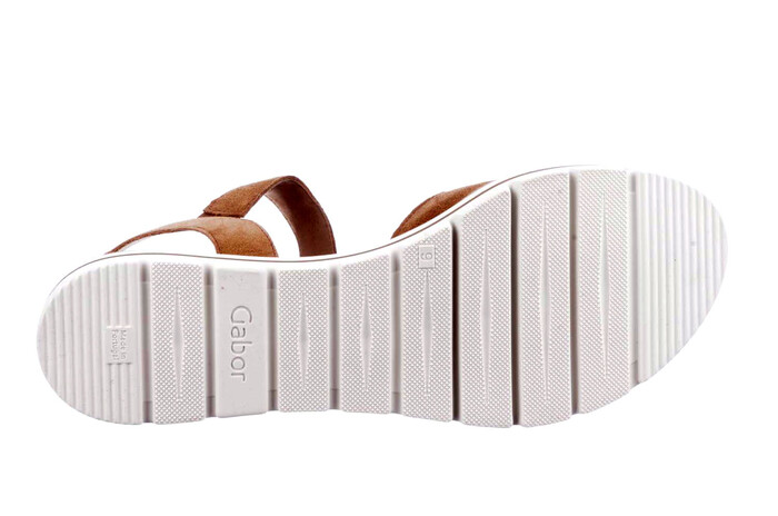 62.772.32 Gabor camel image