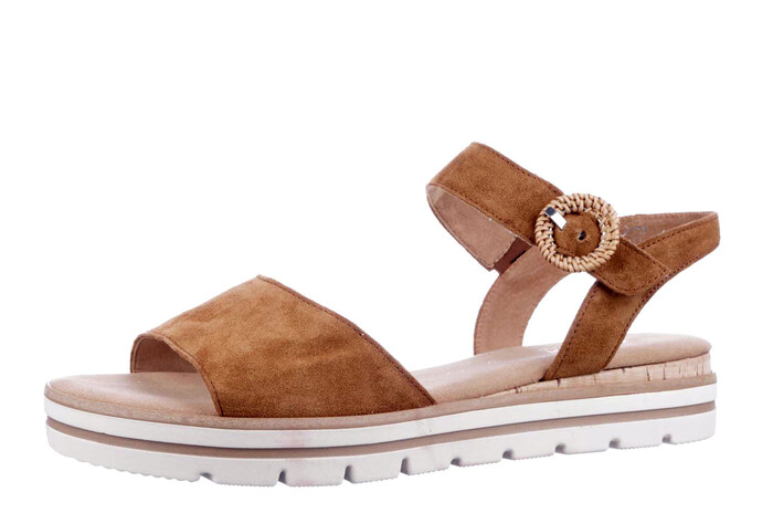 62.772.32 Gabor camel image