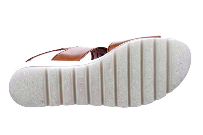 64.645.22 Gabor camel image