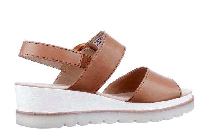 64.645.22 Gabor camel image