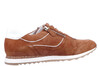 301919 Hassia cognac thumbnail