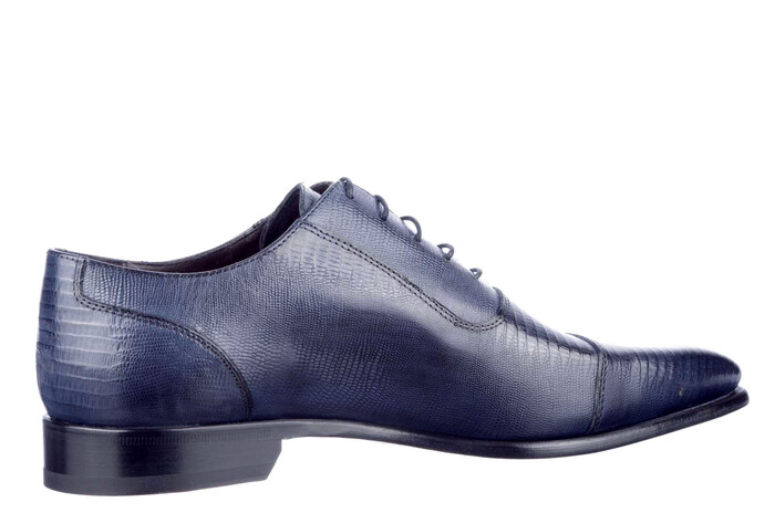 25 Laccio blauw image