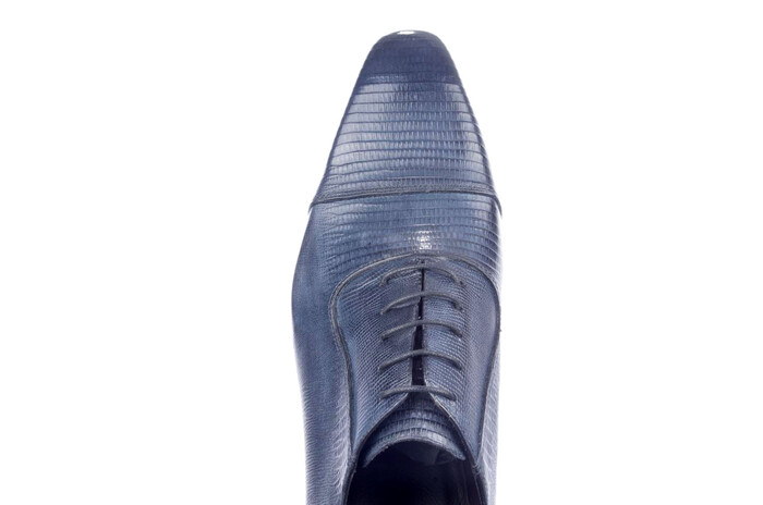25 Laccio blauw image