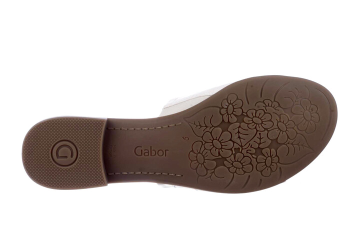 62.795.61 Gabor wit image