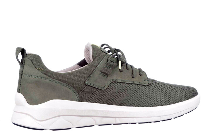 Bradstreet Timberland groen image
