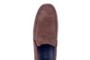 Giumelo Sioux bruin thumbnail