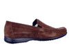 Giumelo Sioux bruin thumbnail