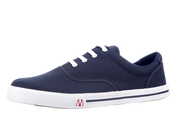 20901 Westland blauw image