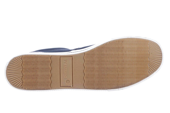 20901 Westland blauw image