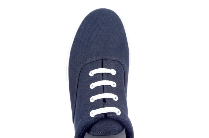 20901 Westland blauw image