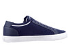 20905 Westland blauw thumbnail