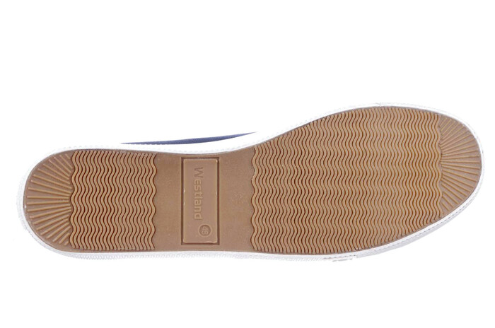 20905 Westland blauw image