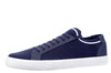 20905 Westland blauw thumbnail