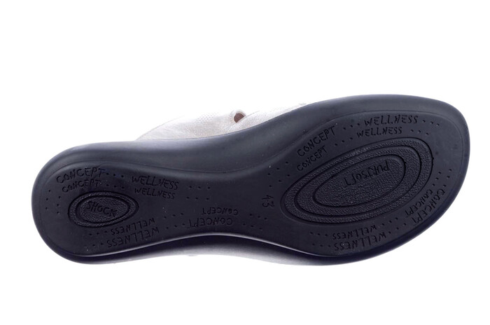 16706 Westland brons image