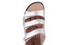 16706 Westland brons thumbnail