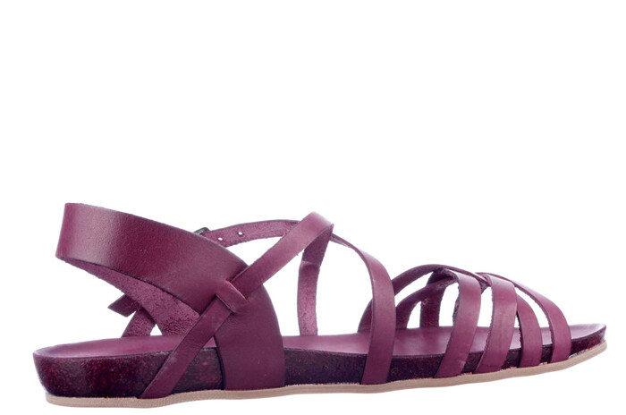 6137801-52 COSMOS BORDEAUX image