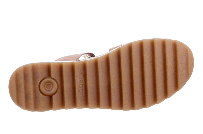 66.743.32 Gabor camel image