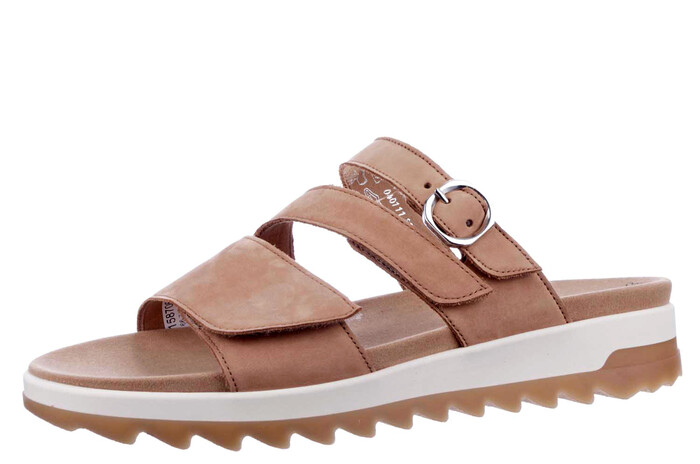 66.743.32 Gabor camel image