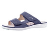 200158 Ganter blauw thumbnail