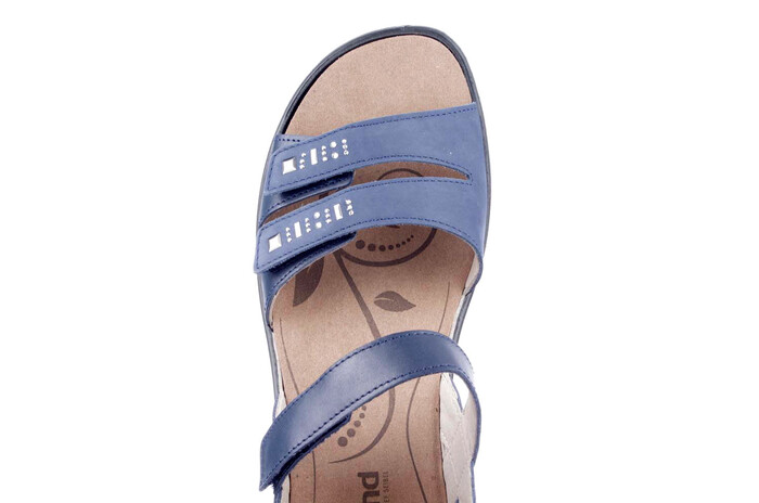 16786 Westland blauw image