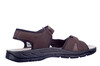 506606 Jomos bruin thumbnail