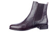 7550 Lilian bruin thumbnail
