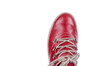 84617 Seibel rood thumbnail