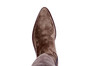 46.199.131 DC bruin thumbnail