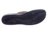 202802 Ganter bruin thumbnail