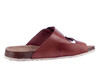 6186703-30 Cosmos bruin thumbnail