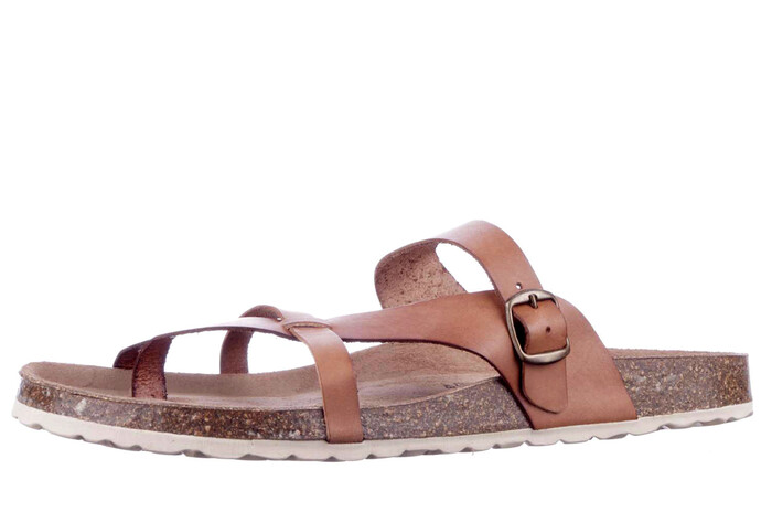 6186706-30 Cosmos cognac image