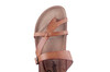 6186706-30 Cosmos cognac thumbnail