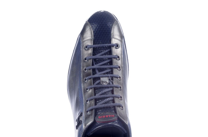 2892 Harris blauw image