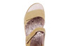 200123 Ganter geel thumbnail