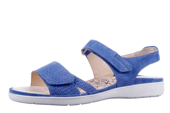 200123 Ganter blauw image
