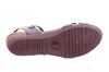 6134804-32 Cosmos bruin thumbnail