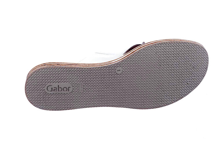 84.556.21 Gabor wit image