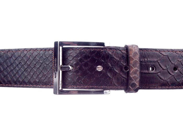1023 Giorgio bruin print image