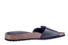 6186705-4 Cosmos zwart thumbnail