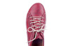 59656 Seibel rood thumbnail