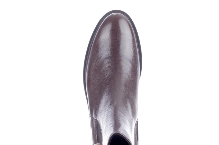7550B Lilian bruin image