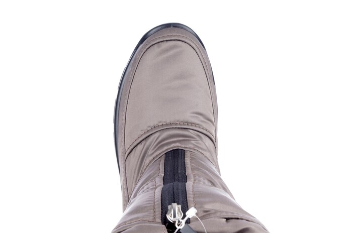 18818 Westland brons image