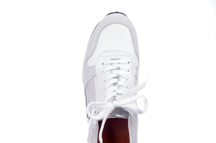 30042.3.846 Jersey Xsensible wit/grijs image