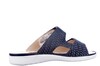 200155 Ganter blauw thumbnail