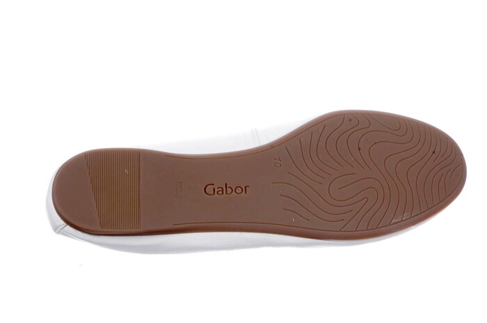24.120.21 Gabor wit image